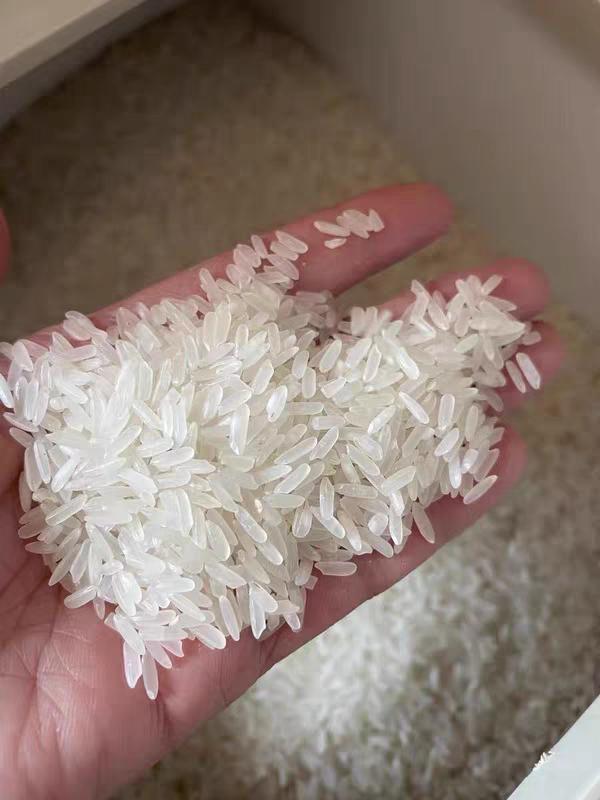 米饭还在用水煮？老厨房：只需4招，米饭香软适口，收藏不亏