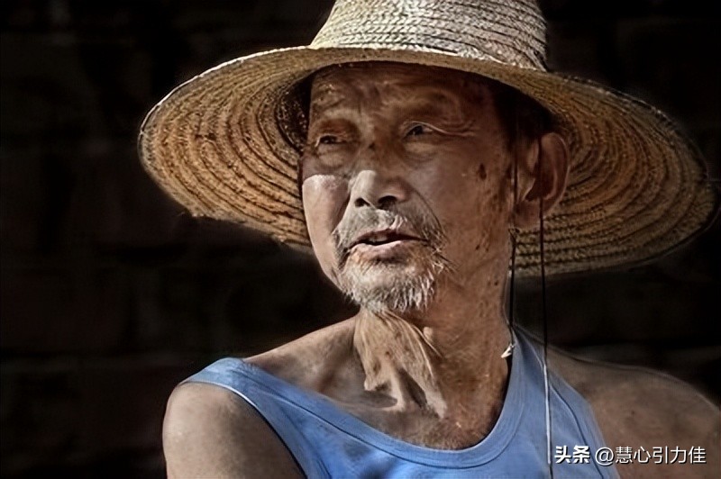 靠晒太阳躺赚上万农民被骗,靠晒太阳躺赚坑了无数人