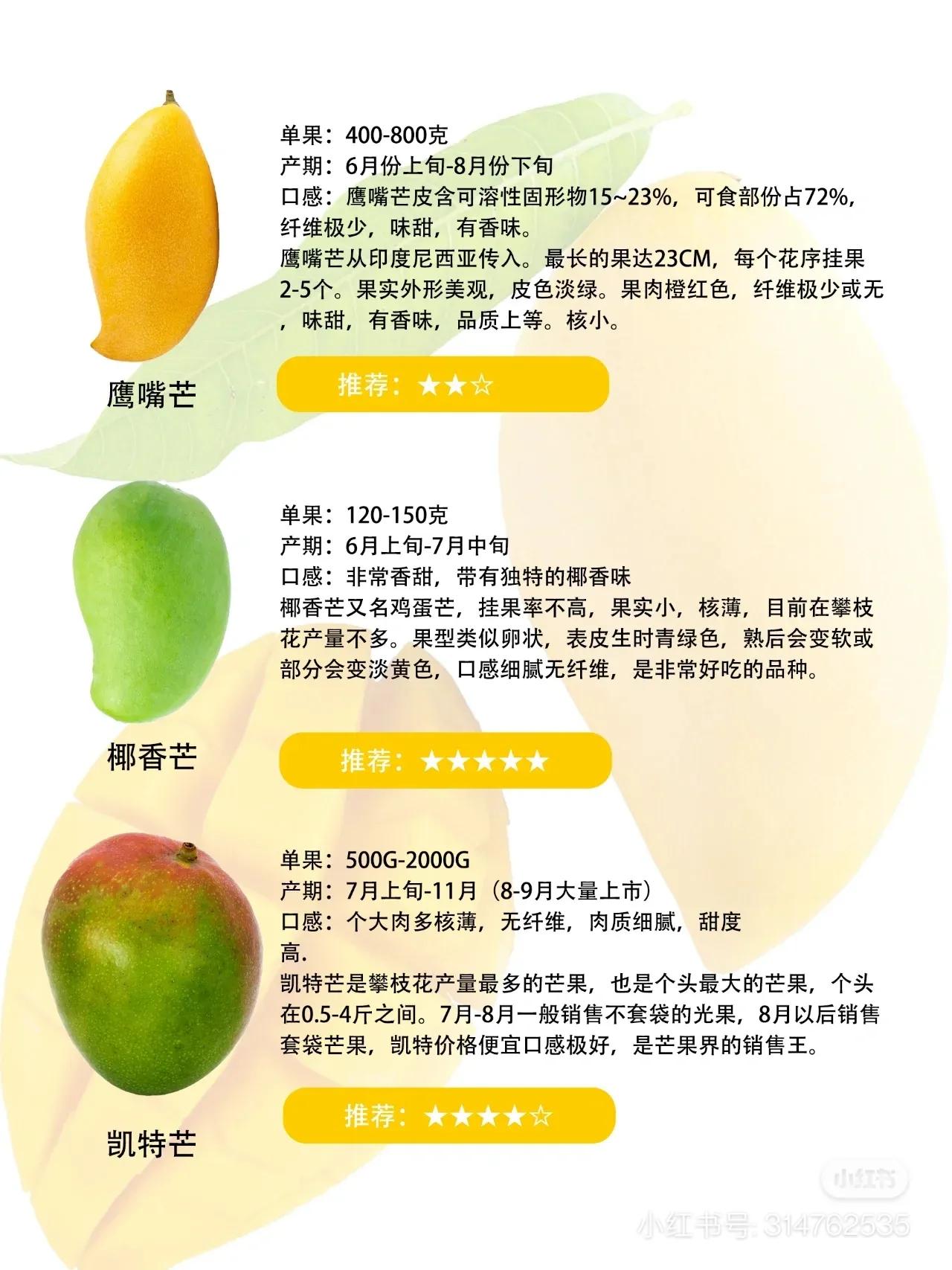 常见芒果的区别及口感,常见芒果的区别