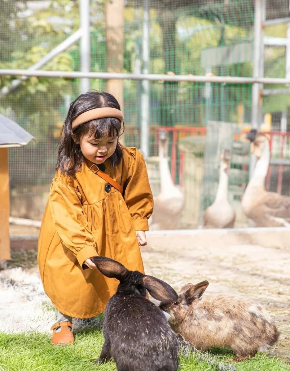 六一童真之旅,欢乐过六一儿童创意作品