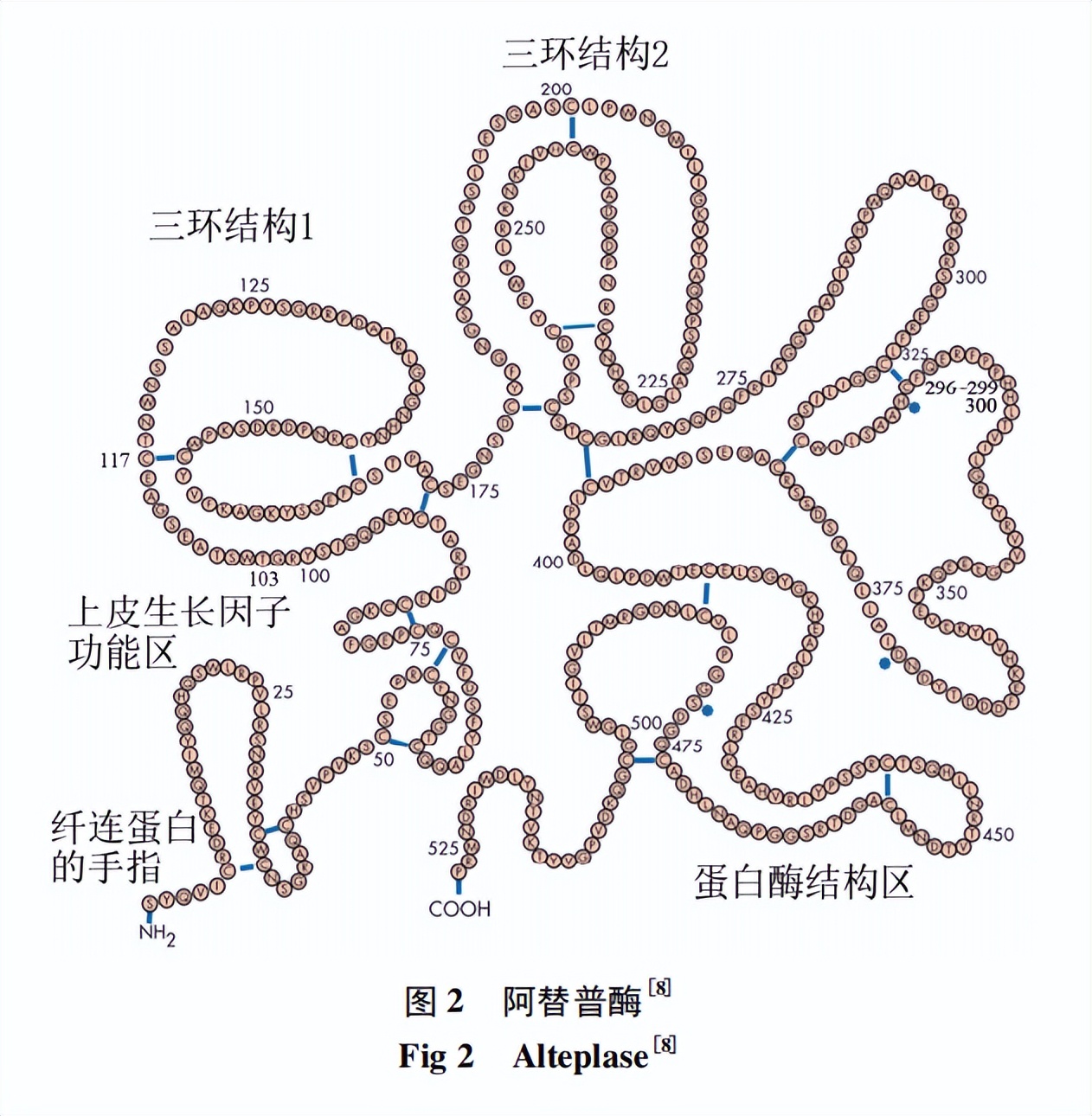 溶栓“药”点对决：海王拥有三叉戟，实力能不能强过超人？