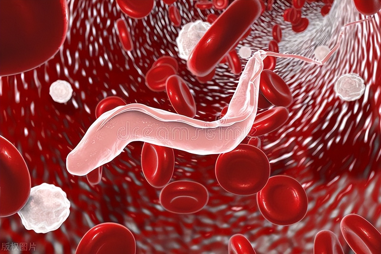 女性阴道炎阴道瘙痒是什么原因,女性阴道炎阴道瘙痒怎么办