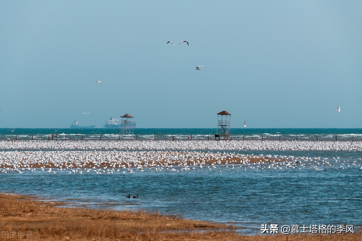 中国有座低调、没有“海味”的海滨城市,一个被低估的养老天堂
