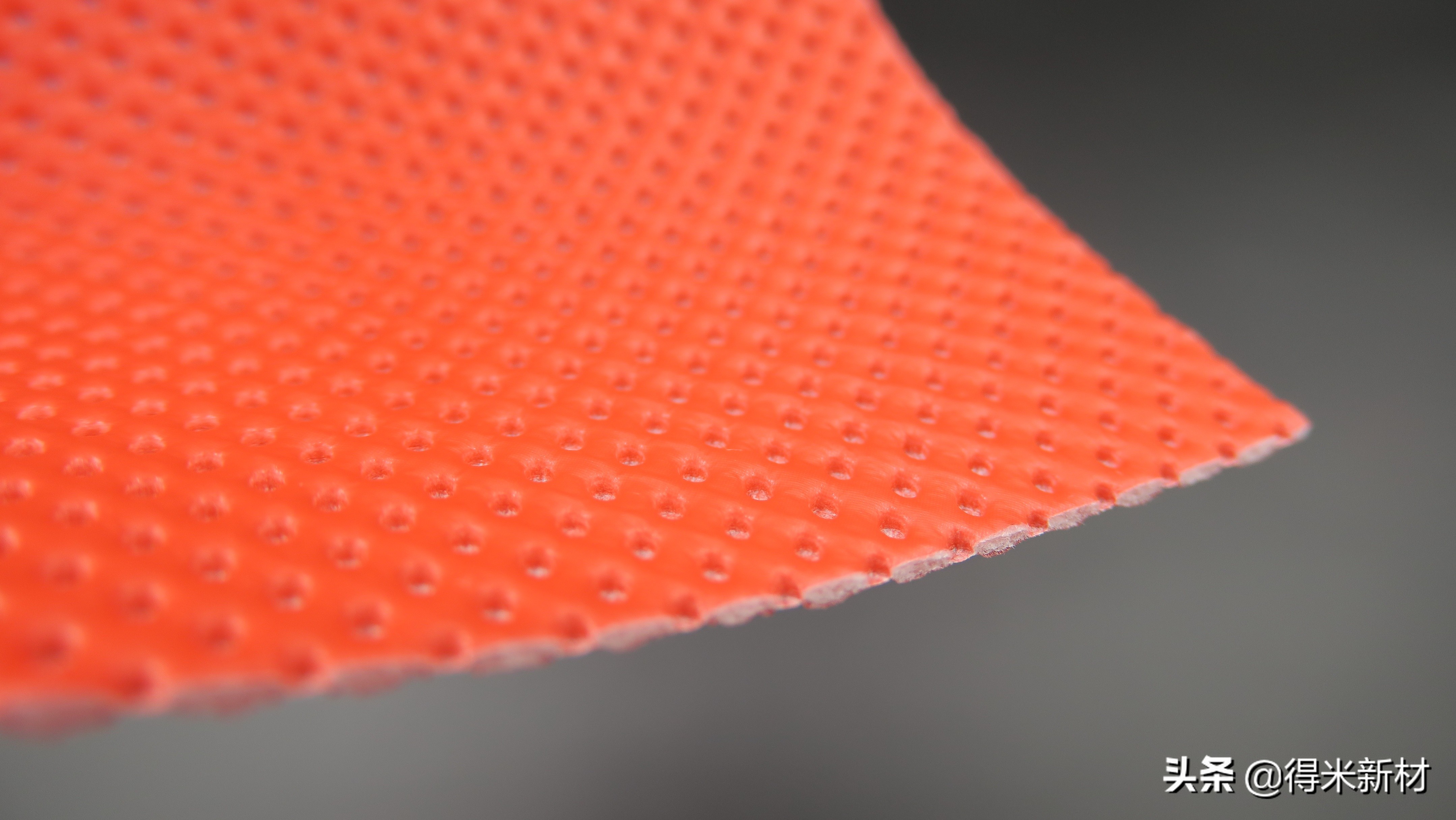 杨梅虫子有蛋白质吗,杨梅有虫子怎么吃