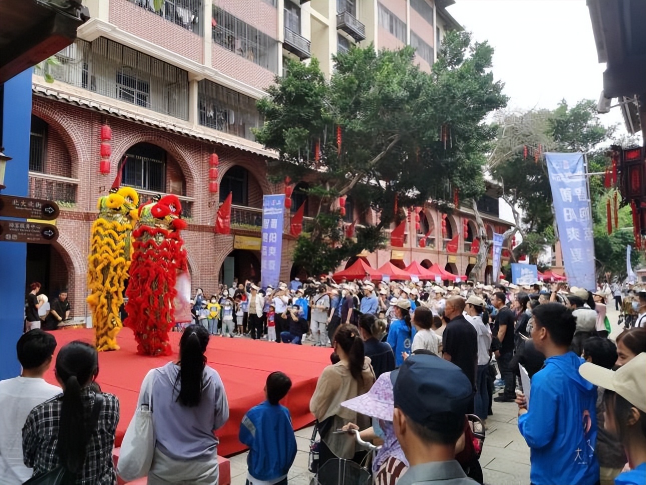 520为“非遗”定向！莆田首届“莆阳爽夏·智跑荔城”定向赛成功举办