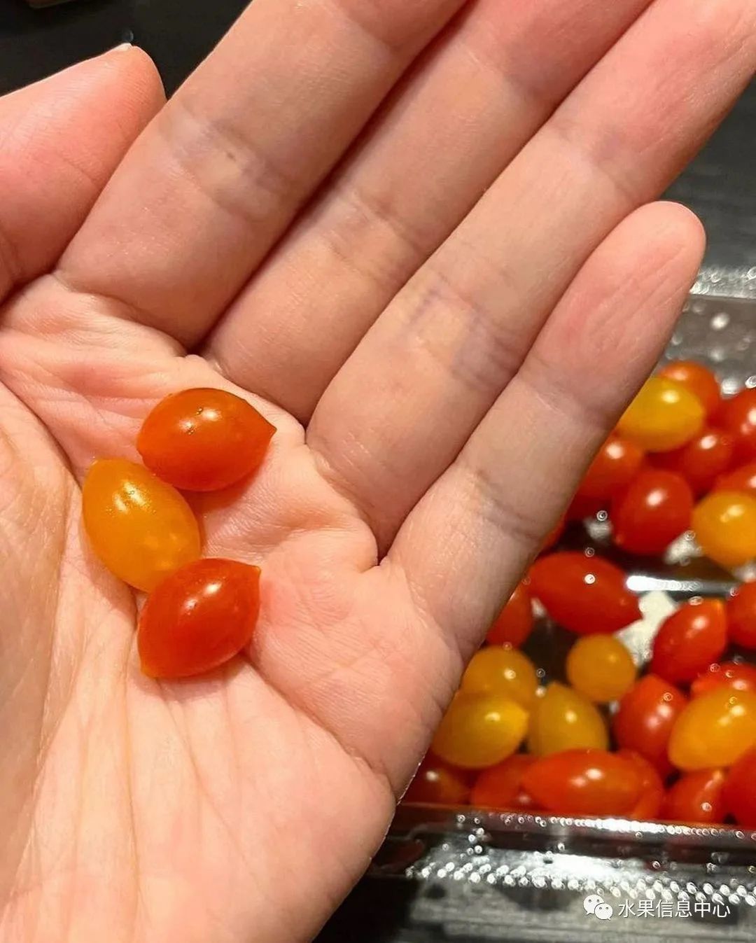 盘点那些迷你的东西,盘点不同样子的水果