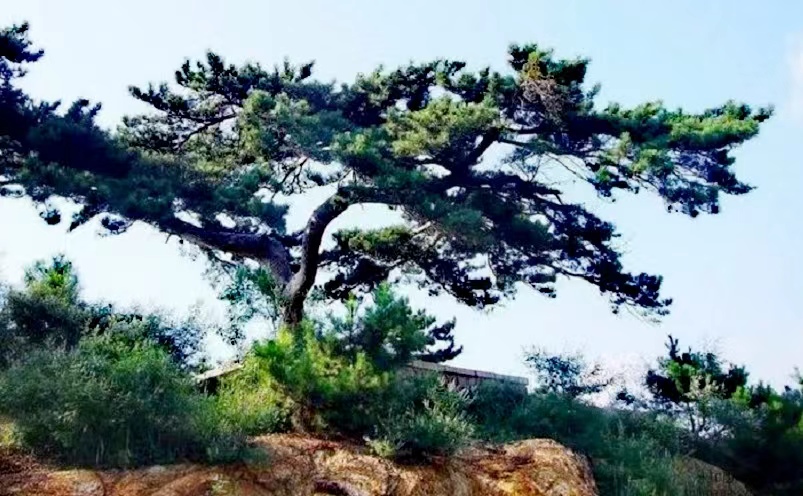 天津必游十大景点排名,天津旅游必去十大景点推荐最新
