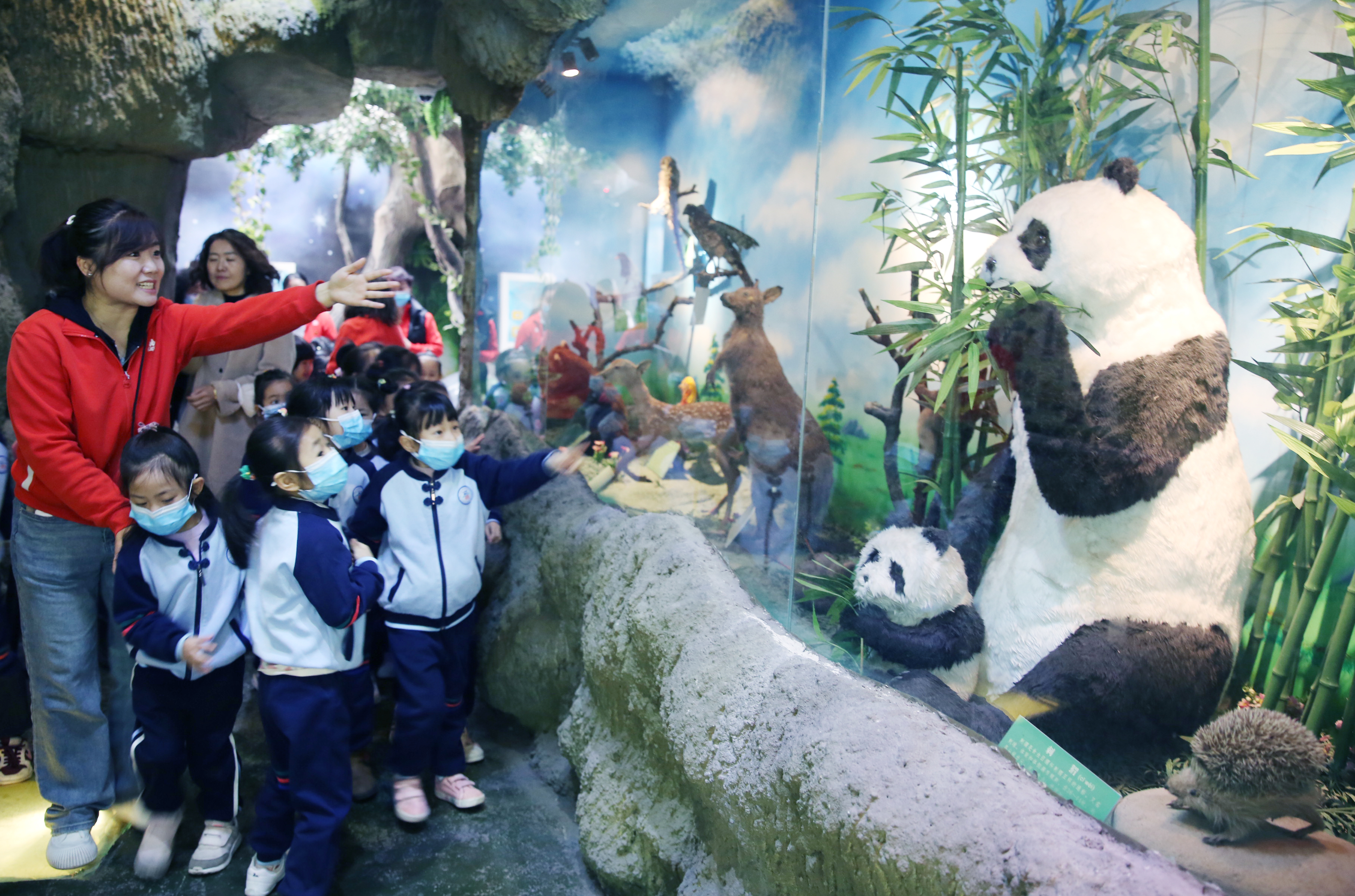 太原市第二实验小学校对口初中,太原市小店区第二实验小学