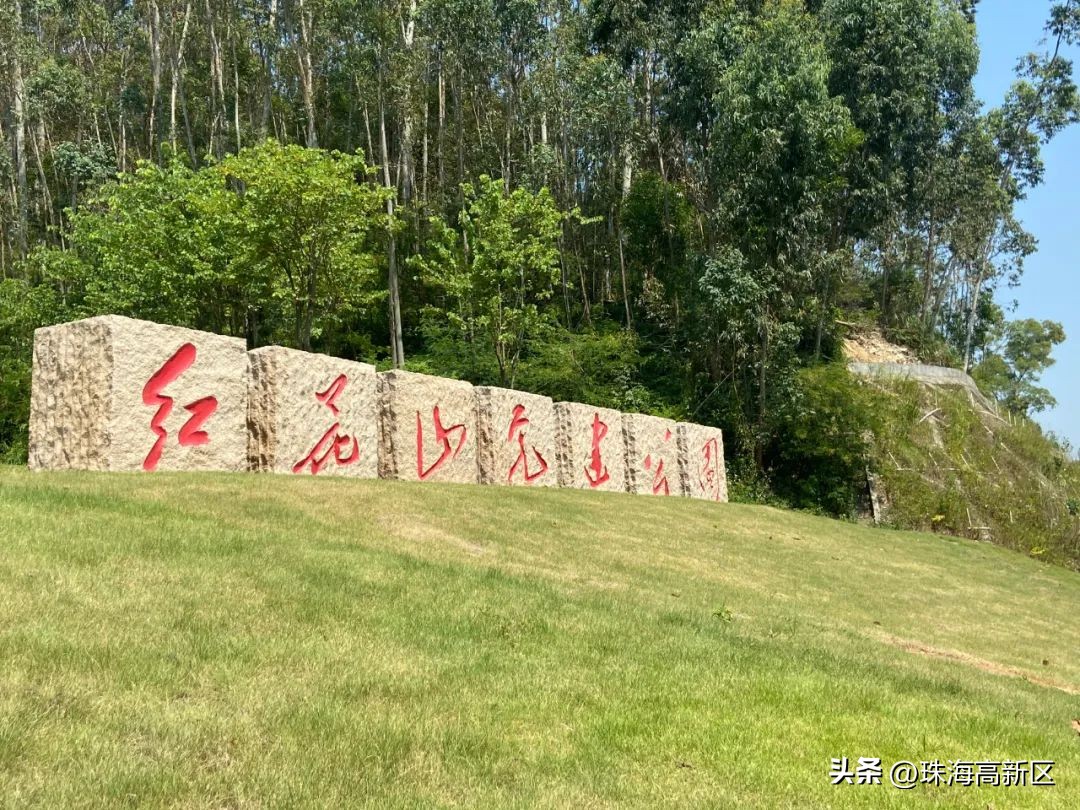 *光春**明媚！来高新区赴一场乐享山海之旅！