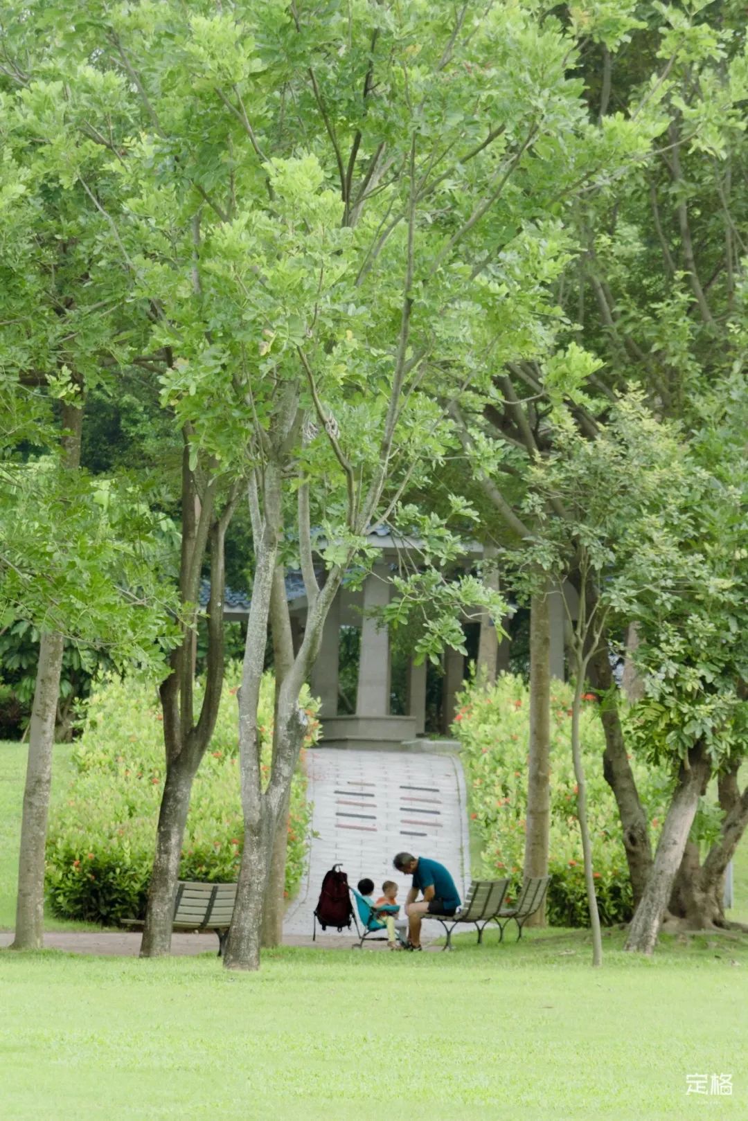 深圳免费露营的公园推荐,深圳22个露营公园