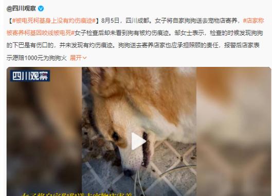 适合穷人的10个赚钱创业项目利润,赚钱快成本低的17种创业项目投资