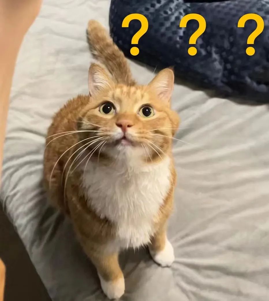 315对于网购物品有问题的处理方案,网购上出现问题我要怎样投诉呢