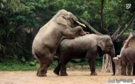 常用汉字偏旁部首名称大全完整版,汉字偏旁汇总一览表打印