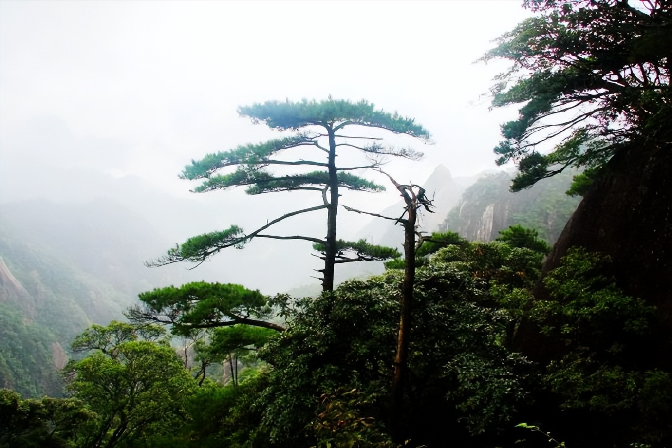 关于三清山的诗句五岳,诗人笔下的三清山