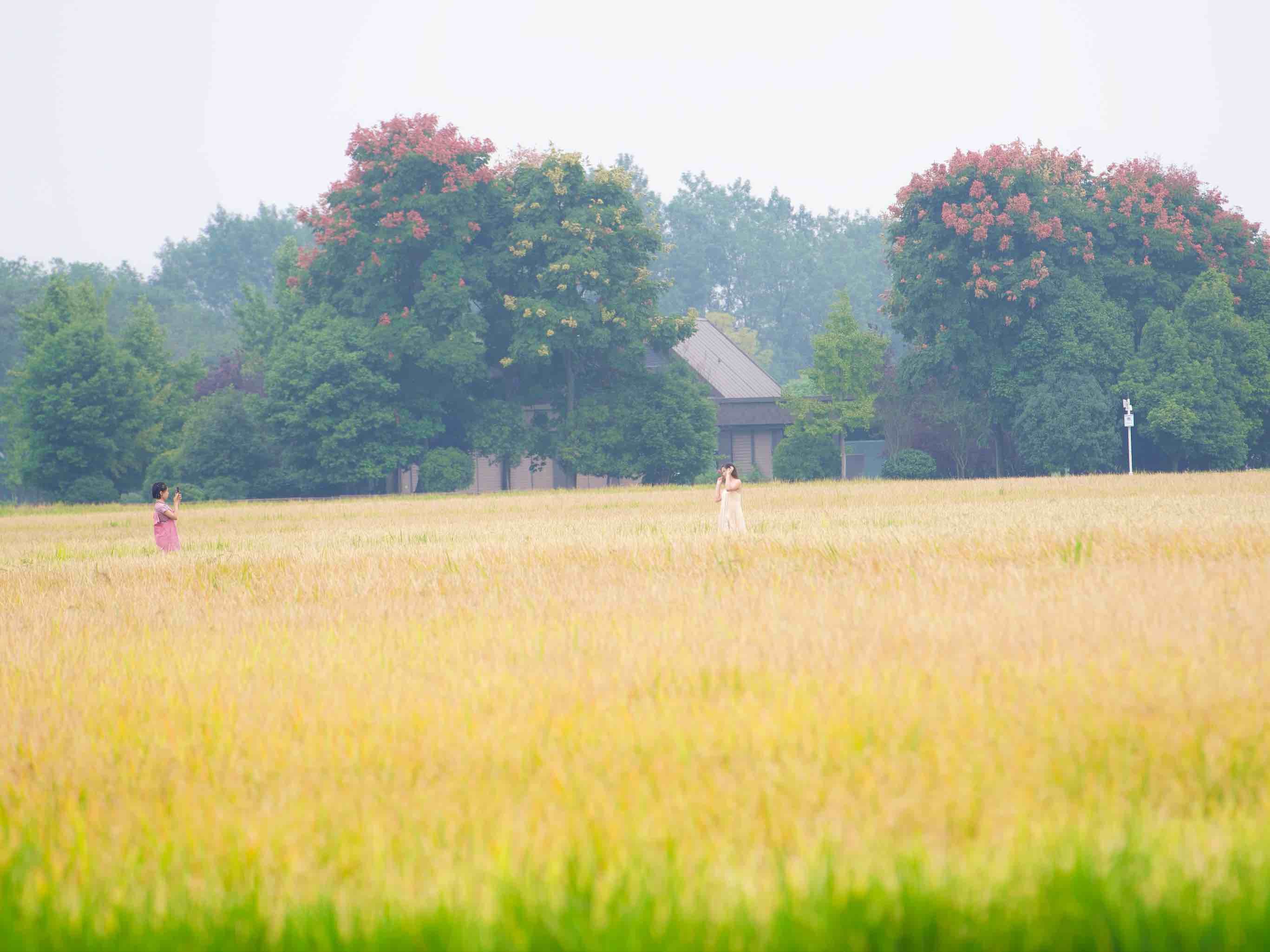 放假去哪里玩又便宜又好玩成都,假期去哪玩便宜又好玩儿成都