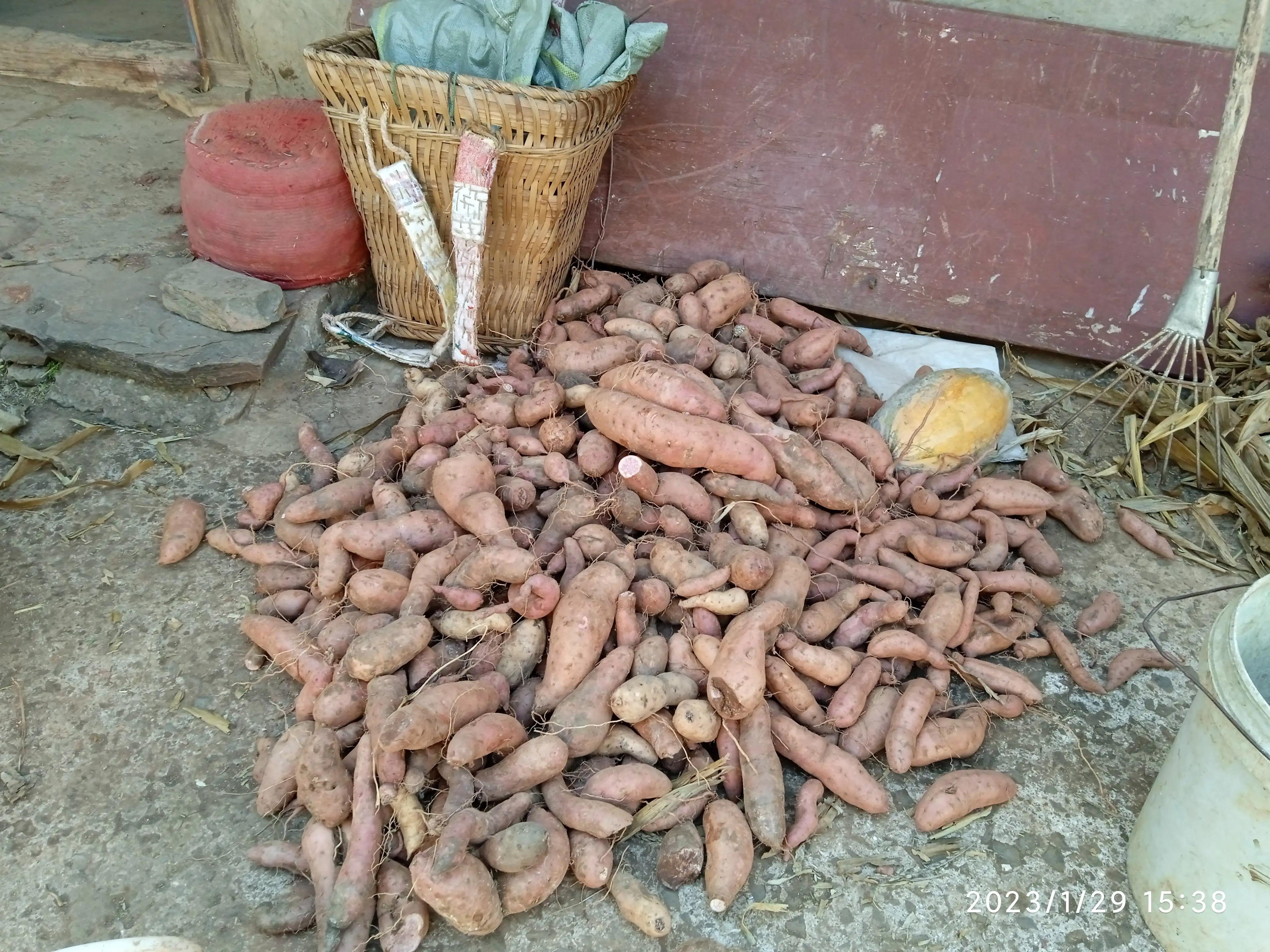 在农村如何赚钱比较快,在农村怎么赚钱一个月一万