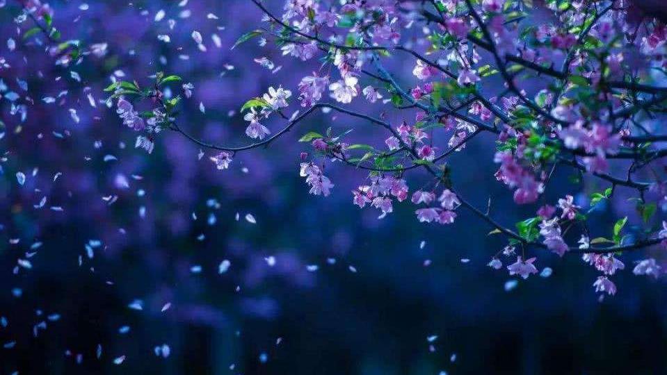 12首关于春风的小诗，浴春风十里，享万般情思