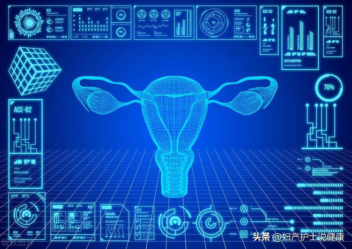 子宫女人天生就有吗,子宫女性