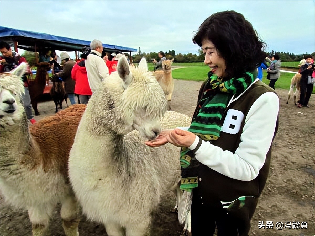 大洋洲旅游,新西兰罗托鲁瓦湖旅游攻略