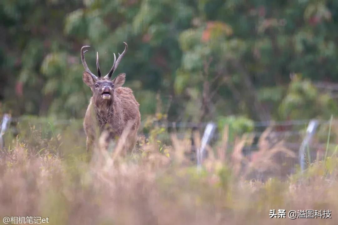 鑱婅亰钄氭潵et9,鑱婅亰钄氭潵et5