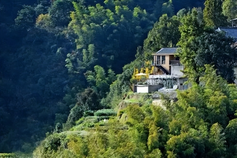 丽水松阳最好的民宿,松阳顶级民宿排名