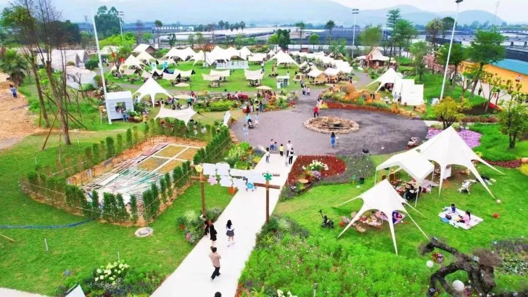 高明启动餐饮“明店”旅游惠民活动，以“0元抢购”营销拓客引流