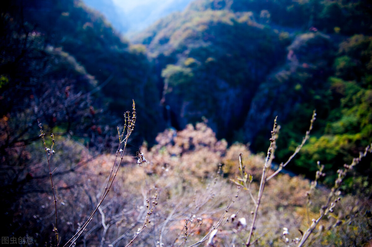 浼氭湁澶╀娇璁╀綘骞哥鐨勮鍚庢劅,浼氭湁澶╀娇璁╀綘骞哥闃呰