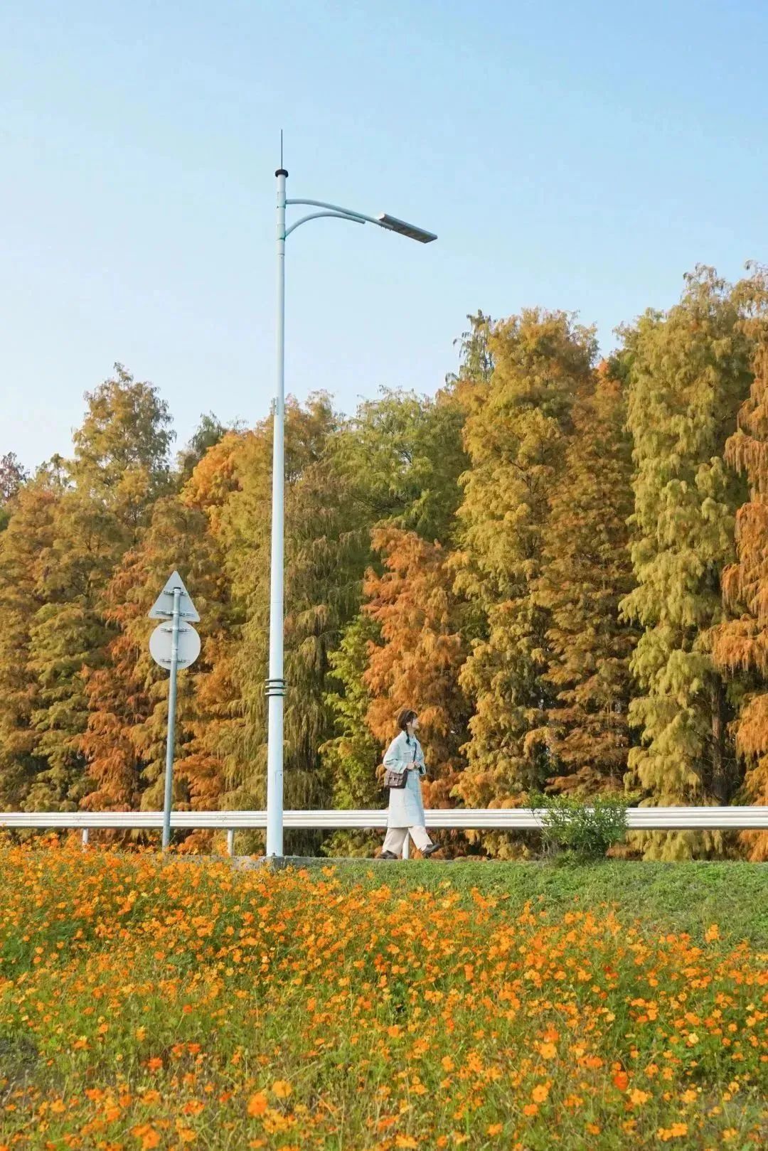 坐上地铁,邂逅专属顺德的冬日浪漫!