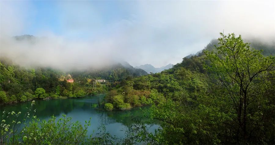 中国六大茶类和知名茶种有哪些,安徽的哪几个茶叶是中国十大名茶