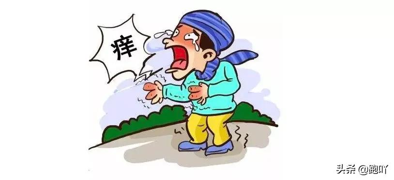 为什么跑步时腿会发痒,为什么跑步腿会痒会红