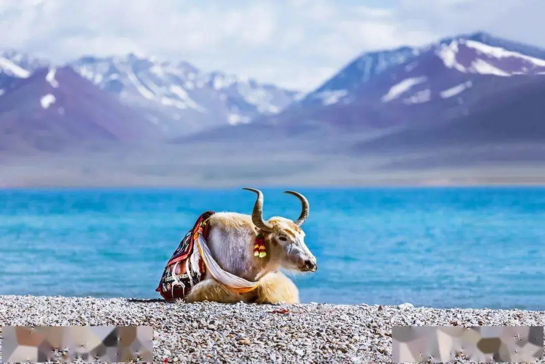 摄影师镜头下全球绝美地质风光,摄影人必踩的7个旅游地