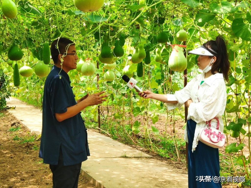 葫芦古镇葫芦大观园,葫芦世界视频