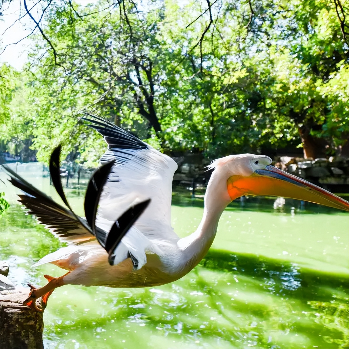 国庆期间需要注意哪些安全问题,国庆假期出行注意事项通知