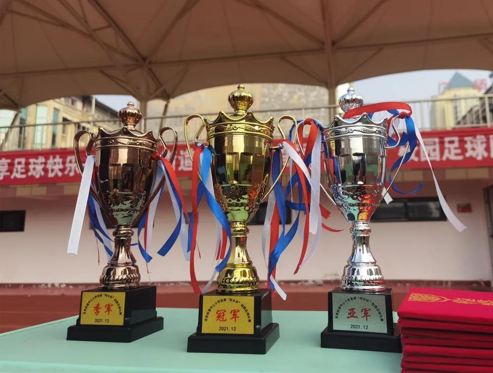 龙泉中心小学足球比赛,龙泉小学校长杯足球比赛