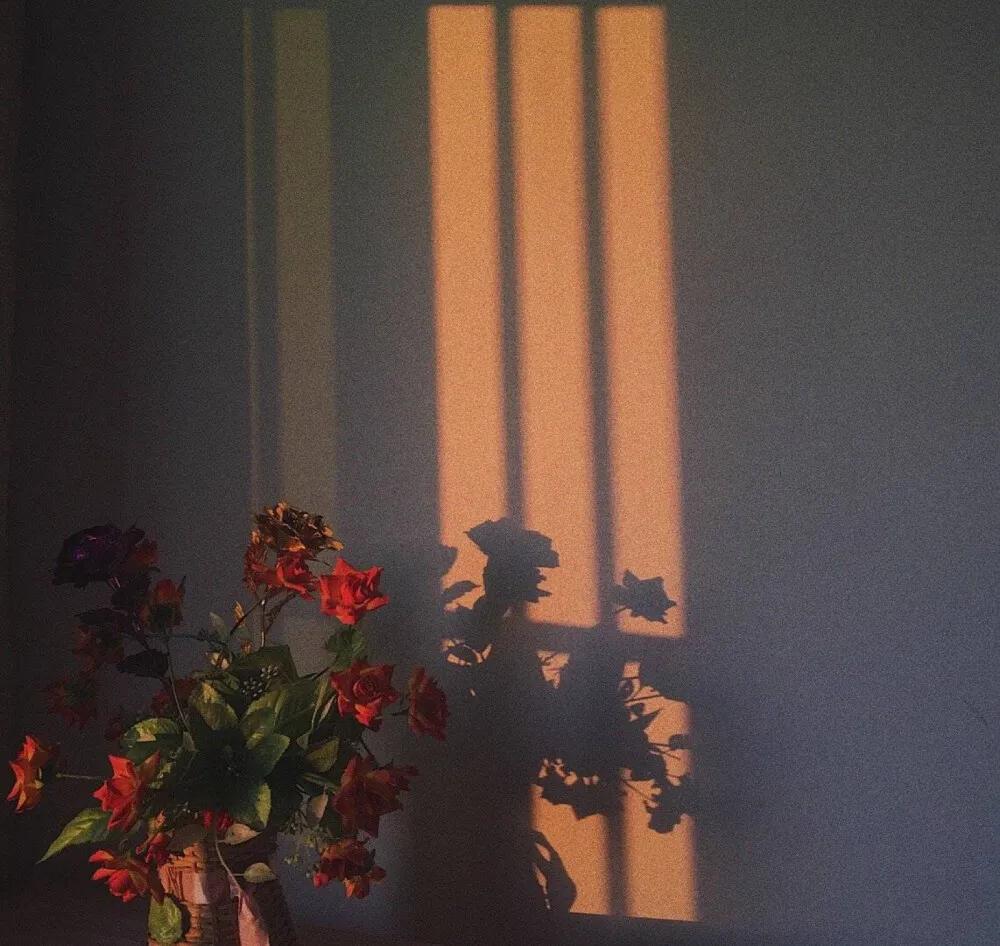 情人节对女朋友表达爱意的句子,抖音发女朋友文案吸引人的句子