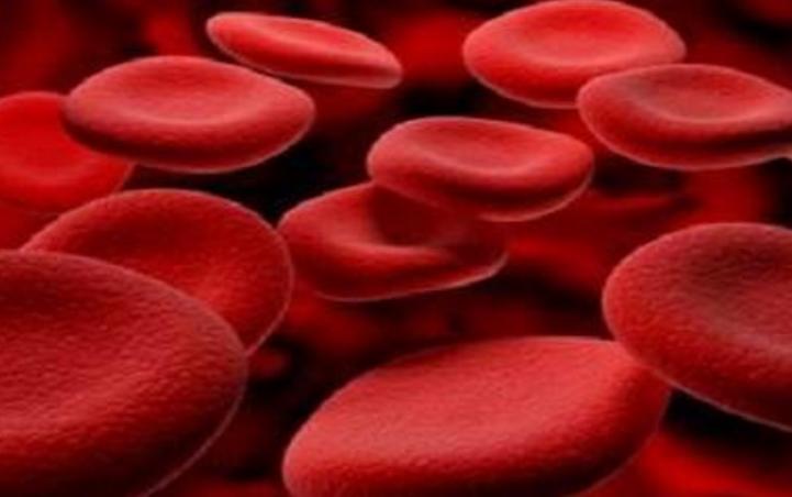 血糖高新药物,血糖稍偏高的中成药