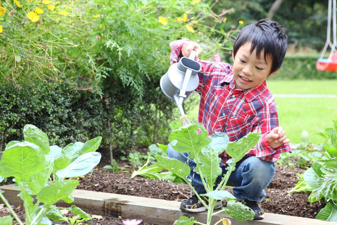 孩子爱玩手机咋办啊,孩子爱玩手机怎么办