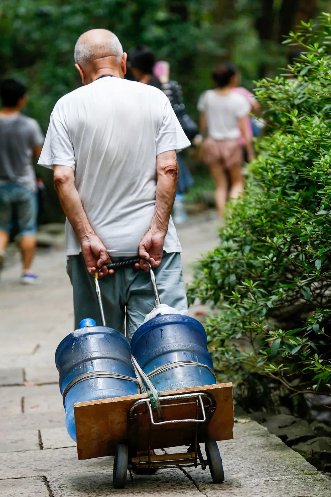 什么牌子水泡茶最好喝,什么牌子的水泡茶最好喝