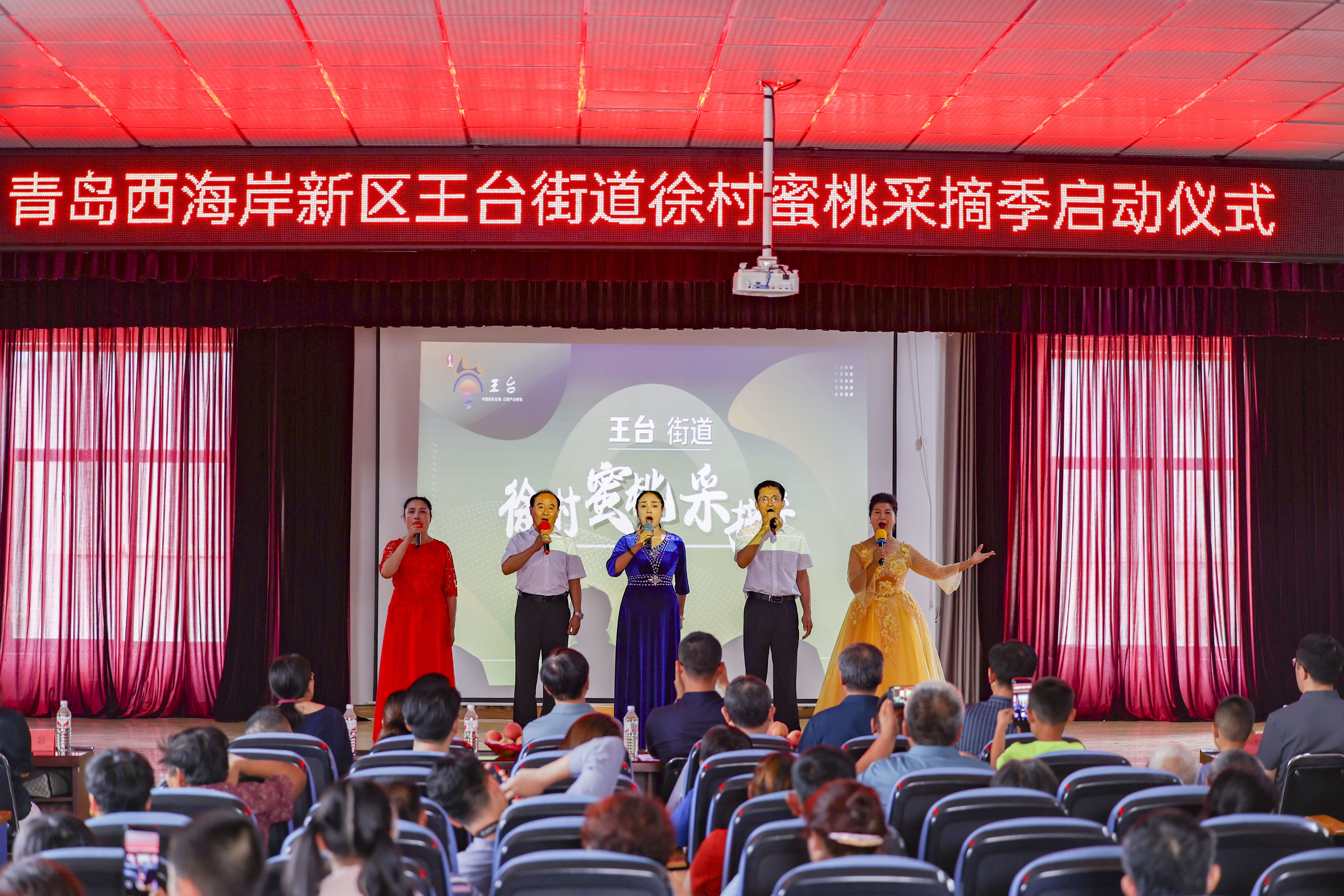 春有桃花源艺术节，夏有蜜桃采摘季，蜜桃成徐村乡村振兴新名片