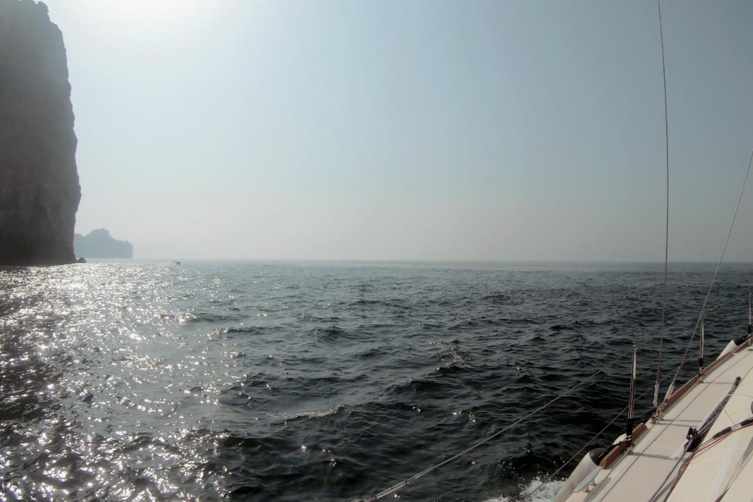 中国小伙的航海日记,44:遭遇海上马蜂袭击,亲妈都不认识我了