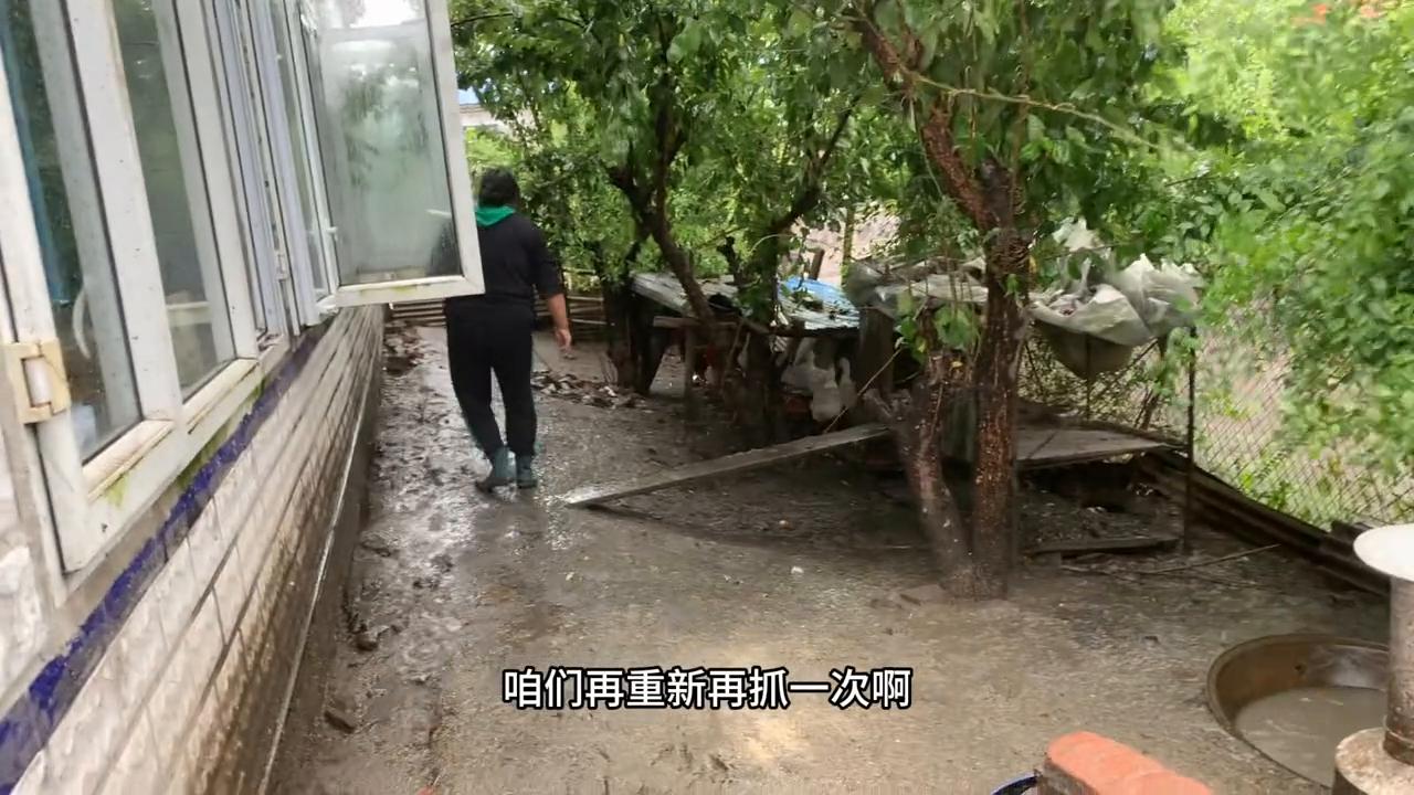 儿童抓鸡摔了一跤原视频,抓小鸡被摔