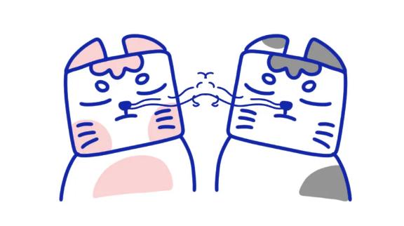 如何观察自家猫的动态,家里的猫怎么知道它的寿命