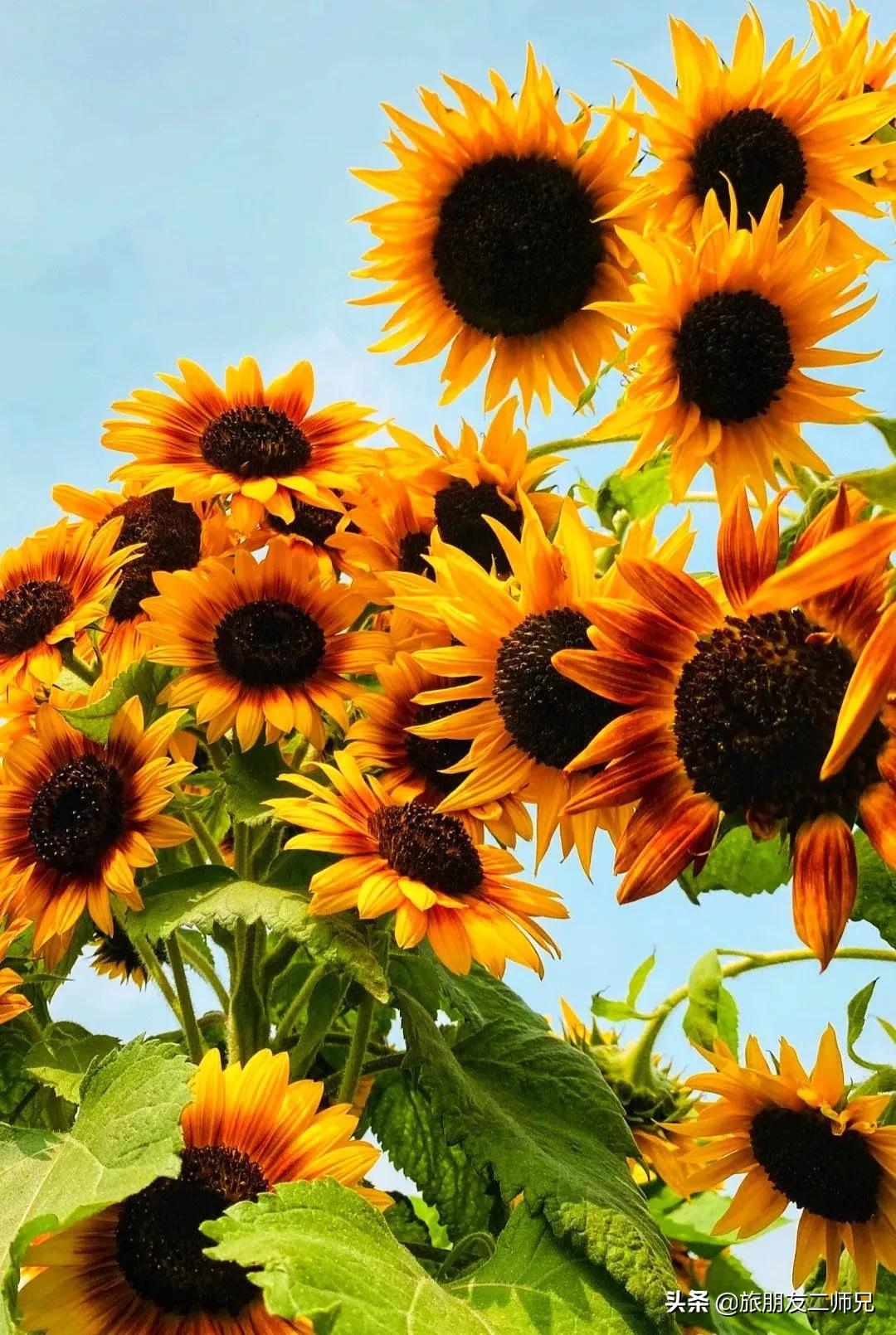 4天旅游广州周边景点攻略,人少景美的小众旅行地广东出发