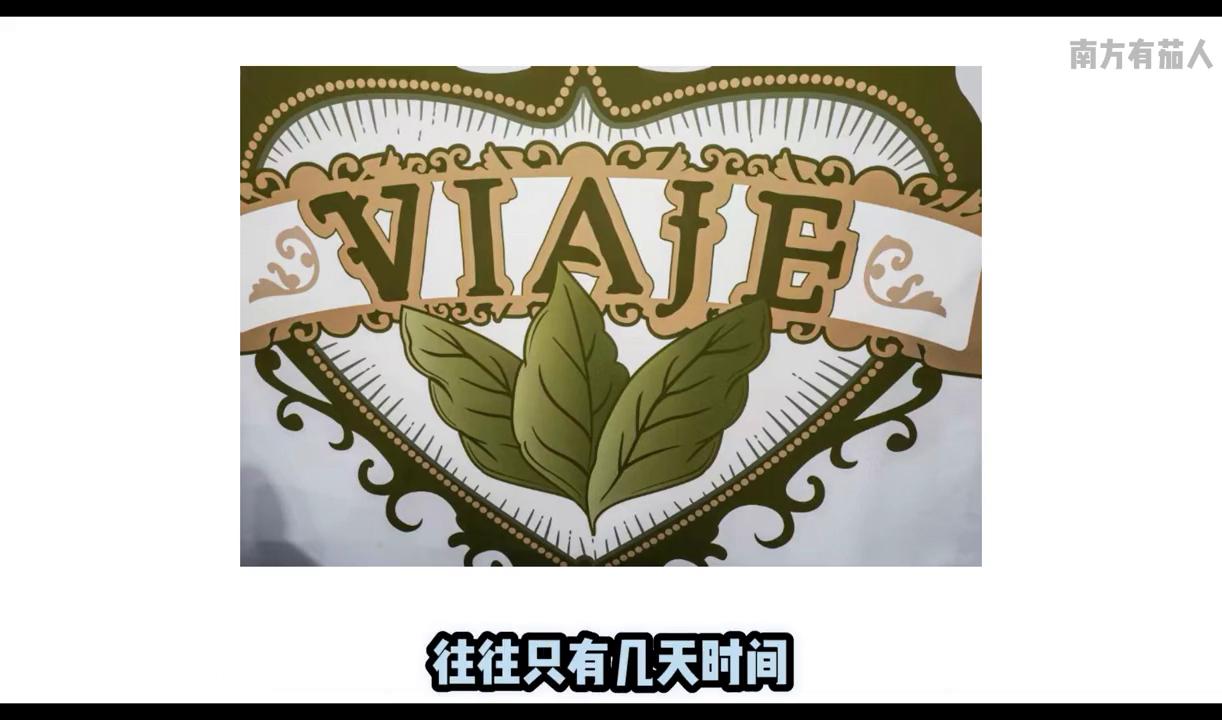 雪茄文化第一视角,一口气了解雪茄