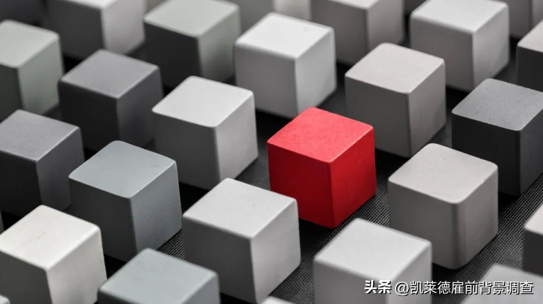 入职10年后发现学历造假怎么处理,企业发现学历造假一般会怎么处理