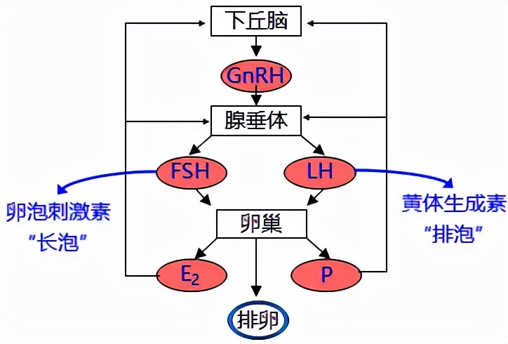 怕她不来又怕她乱来的文案,怕她不来又怕她乱来出处