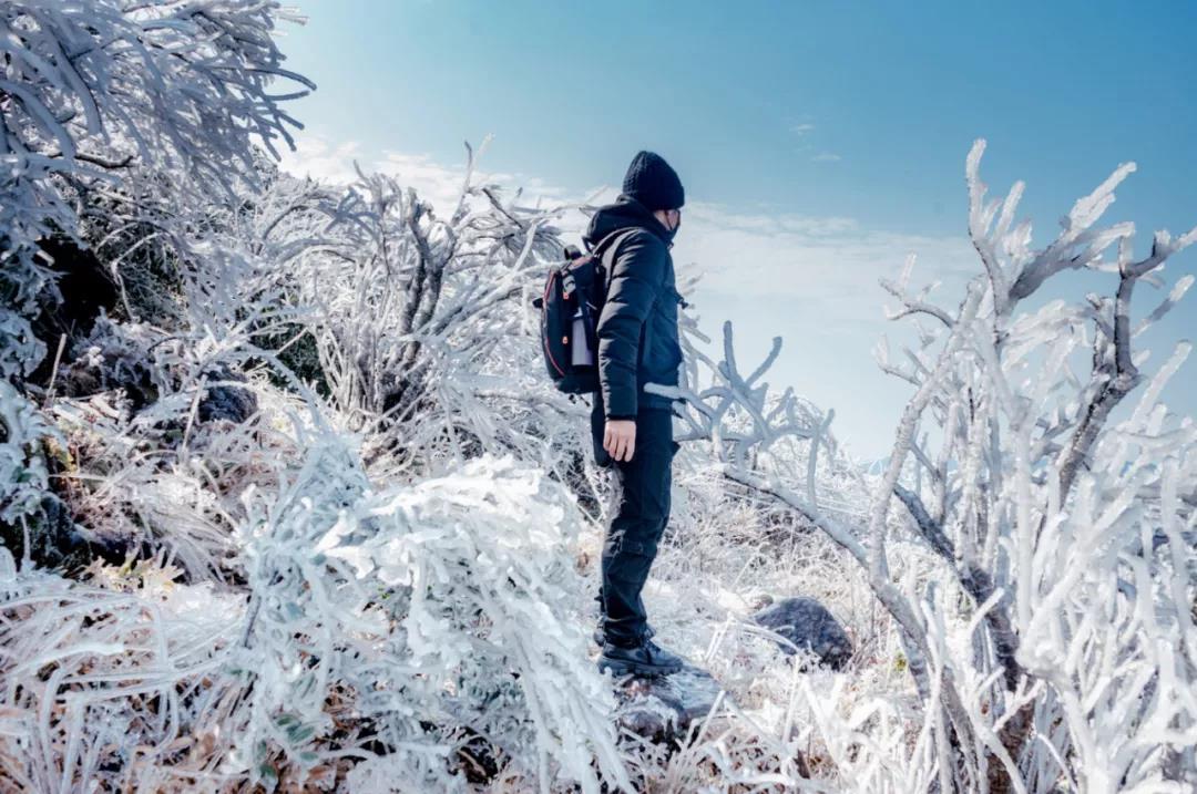 2021连州金子山雾凇观赏时间,广州金子山雾凇
