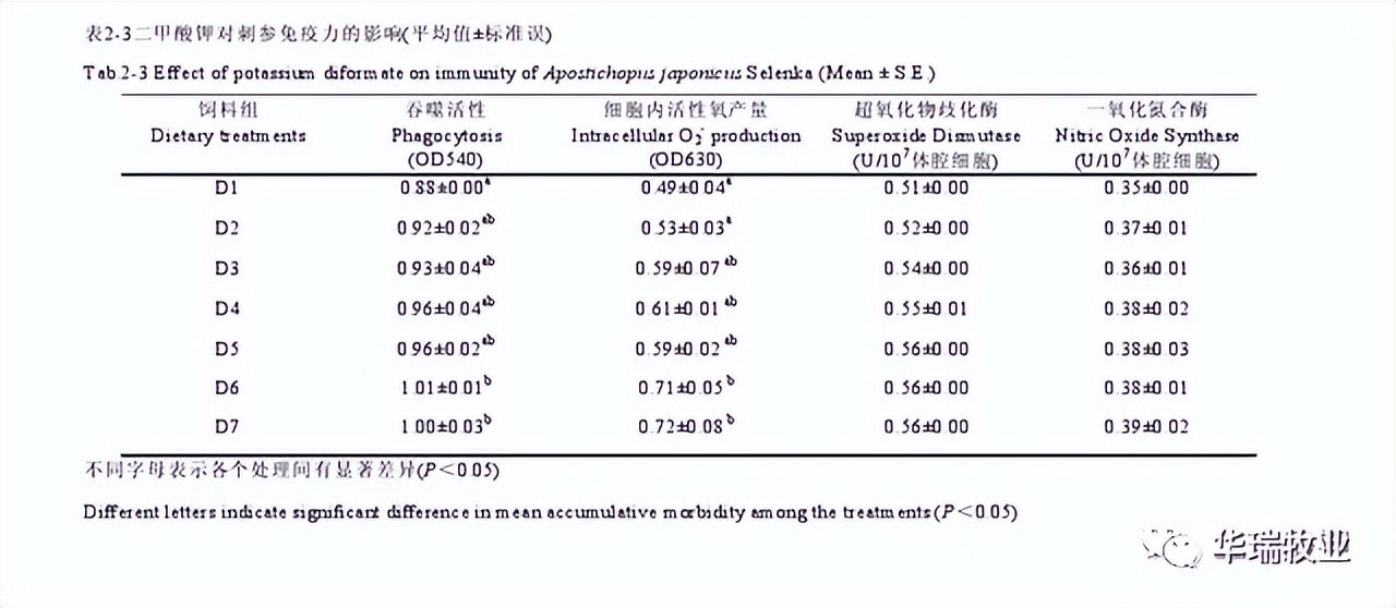 刺参感染灿烂弧菌导致烂皮，规模化养殖场一年损失近百万