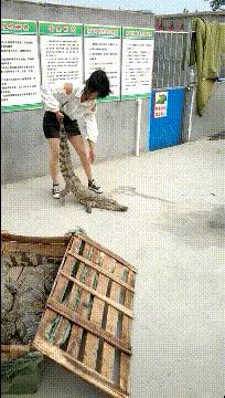 大爷你这是刚挖煤回来吗，另外你这车还挺个性的，这方向盘牛