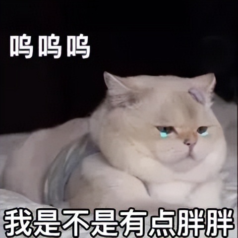 刘畊宏喊你来跳操,刘畊宏减脂期可以吃的零食